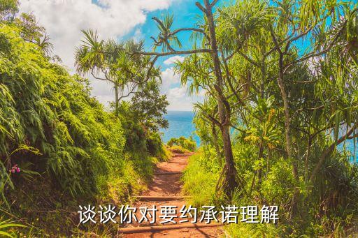 要約承諾，什么叫要約什么叫承諾