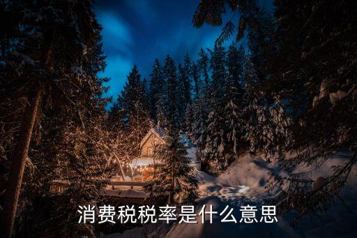 消費(fèi)稅稅率，消費(fèi)稅稅率