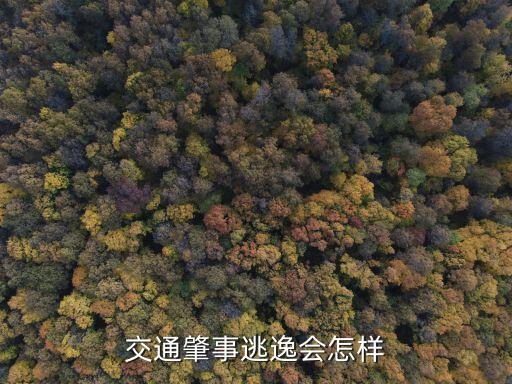 交通肇事逃逸會(huì)怎樣