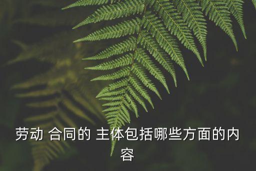 勞動 合同的 主體包括哪些方面的內(nèi)容
