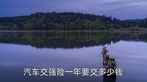 汽車交強(qiáng)險(xiǎn)一年要交多少錢