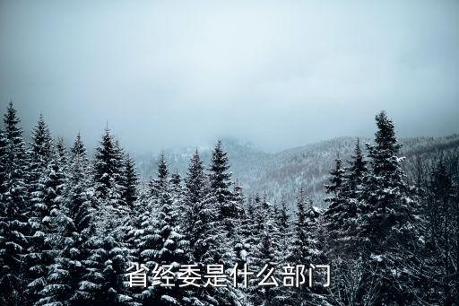 省經(jīng)委是什么部門