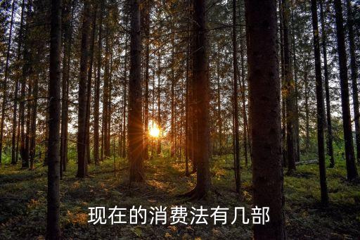 現(xiàn)在的消費法有幾部