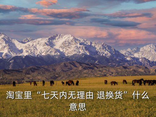 淘寶里“七天內(nèi)無理由 退換貨”什么意思
