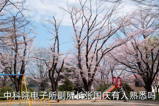 中科院電子所副所長張國慶有人熟悉嗎