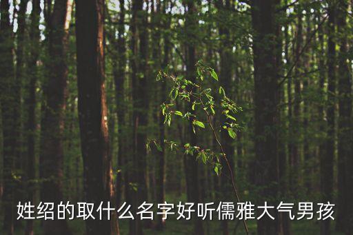 邵建國(guó)，姓紹的取什么名字好聽(tīng)儒雅大氣男孩