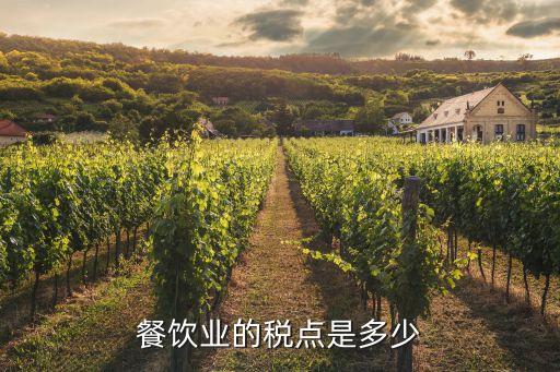 餐飲稅點(diǎn)，餐飲業(yè)要繳納的稅是百分之多少