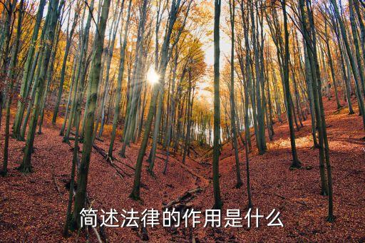 簡述法律的作用是什么