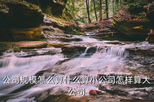 公司規(guī)模怎么算什么算小公司怎樣算大公司