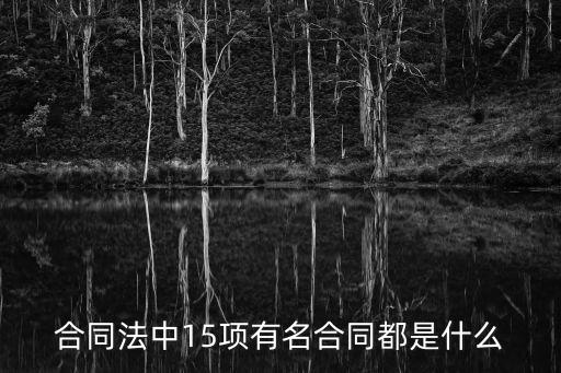 合同法中15項有名合同都是什么