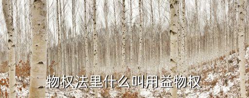 益物權(quán)，用益物權(quán)有哪幾種具體指什么