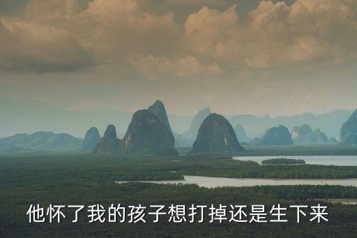 他懷了我的孩子想打掉還是生下來