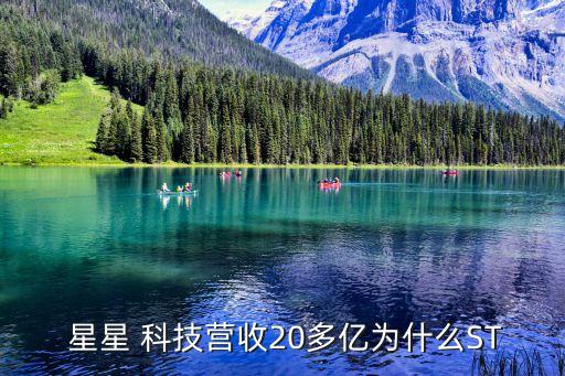  星星 科技營收20多億為什么ST
