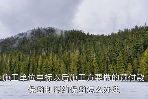 施工單位中標(biāo)以后施工方要做的預(yù)付款保函和履約保函怎么辦理