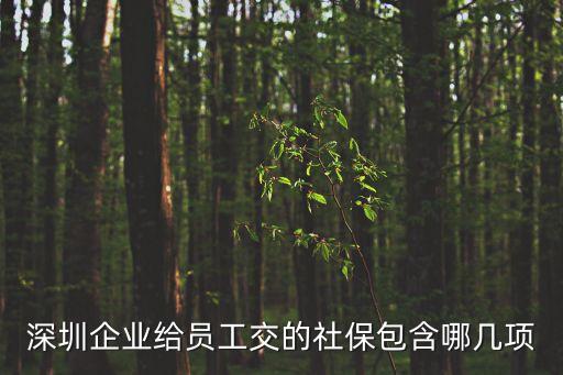 深圳企業(yè)給員工交的社保包含哪幾項