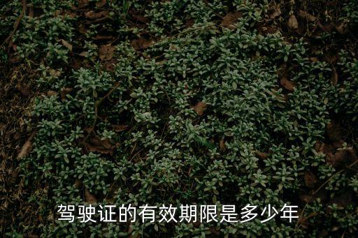 駕駛證的有效期限是多少年