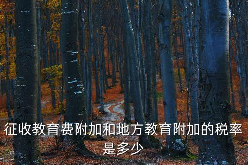 征收教育費(fèi)附加和地方教育附加的稅率是多少