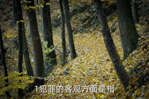 犯罪客觀方面，什么是犯罪的客體和客觀方面