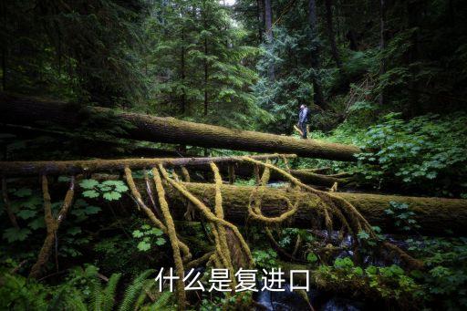 什么是復(fù)進(jìn)口