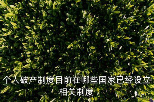 個(gè)人破產(chǎn)制度目前在哪些國(guó)家已經(jīng)設(shè)立相關(guān)制度