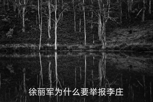 徐麗軍為什么要舉報(bào)李莊