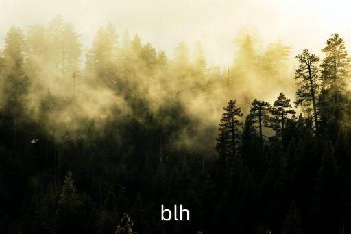 男男blh