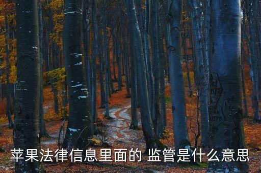 監(jiān)管是什么意思,監(jiān)管機是什么手機