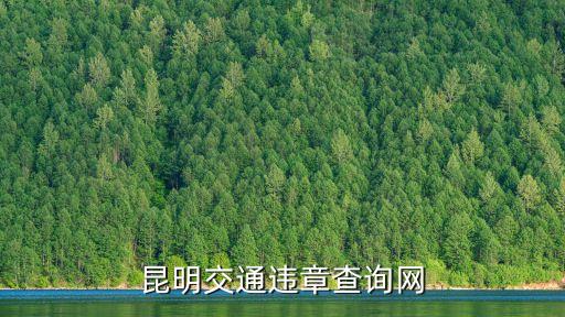 昆明交通違章查詢網(wǎng)