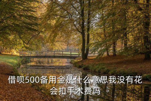 借唄500備用金是什么意思我沒(méi)有花會(huì)扣手術(shù)費(fèi)嗎