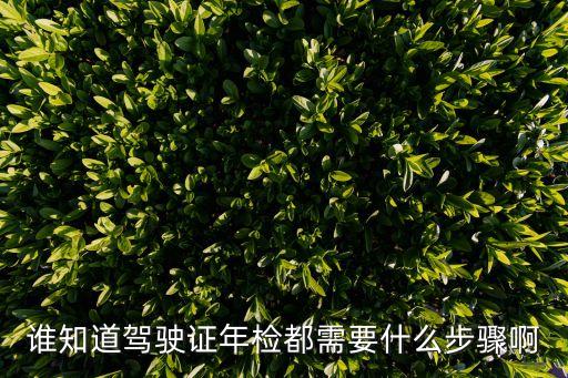 誰知道駕駛證年檢都需要什么步驟啊