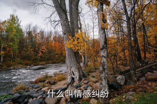 情感糾紛，遇到情感糾紛怎樣辦