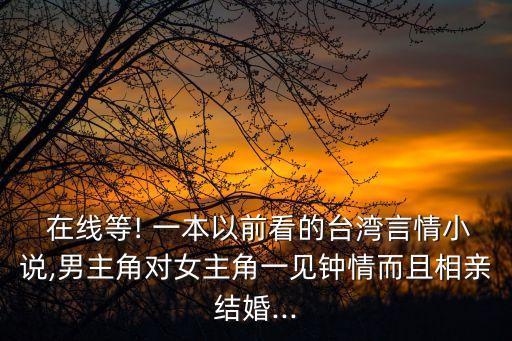  在線等! 一本以前看的臺灣言情小說,男主角對女主角一見鐘情而且相親結婚...