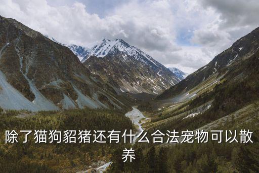 養(yǎng)貂犯法嗎，除了貓狗貂豬還有什么合法寵物可以散養(yǎng)