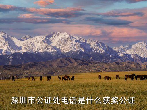深圳市公證處電話是什么獲獎(jiǎng)公證