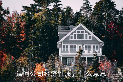 企業(yè)經(jīng)濟性質，經(jīng)濟性質有哪些