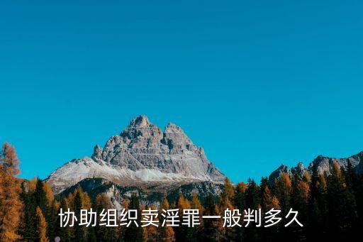 協(xié)助組織賣淫罪一般判多久