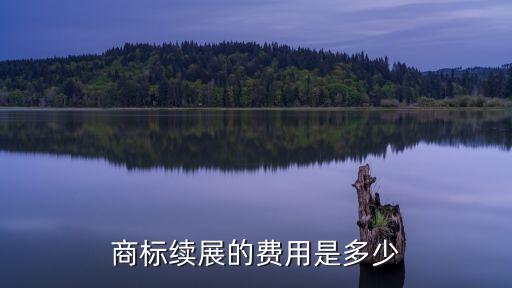 商標(biāo)續(xù)費(fèi)多少錢，商標(biāo)續(xù)展的費(fèi)用多少啊