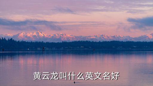 黃云龍叫什么英文名好