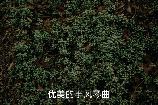 優(yōu)美的手風(fēng)琴曲