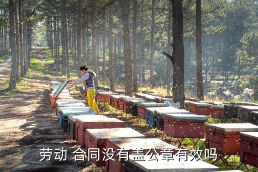 簽合同沒蓋章有效嗎,中介簽合同不蓋章有效嗎
