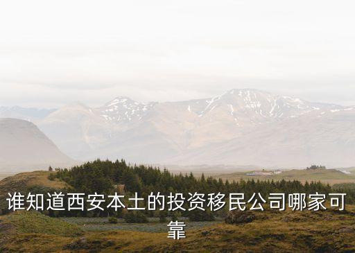 西安移民，誰(shuí)知道西安本土的投資移民公司有哪幾家