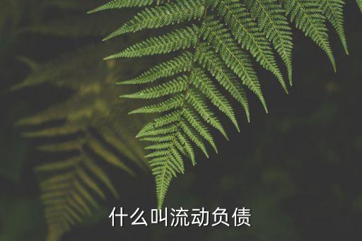 什么叫流動(dòng)負(fù)債