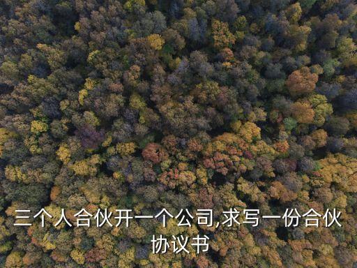 三個人合伙開一個公司,求寫一份合伙 協(xié)議書