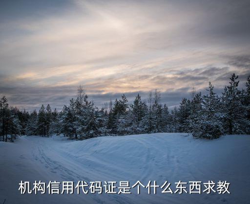 機(jī)構(gòu)信用代碼證，信用代碼證是什么
