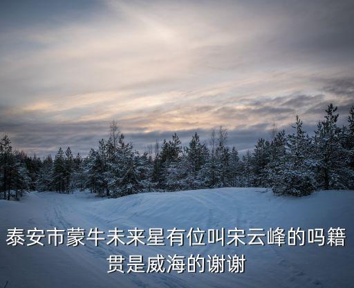 泰安市蒙牛未來星有位叫宋云峰的嗎籍貫是威海的謝謝