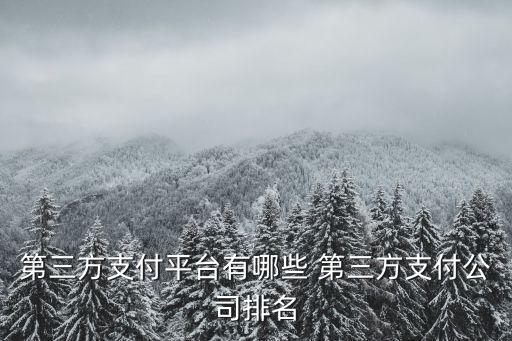 第三方公司，中國排在前十位的第三方物流公司有哪些