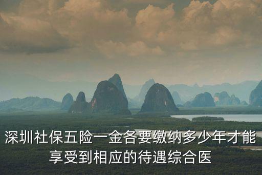 深圳五險(xiǎn)一金，深圳的五險(xiǎn)一金