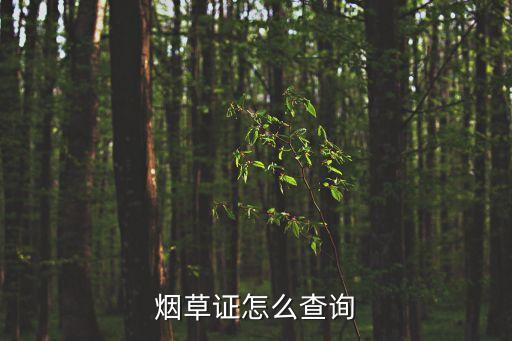 煙草證怎么查詢