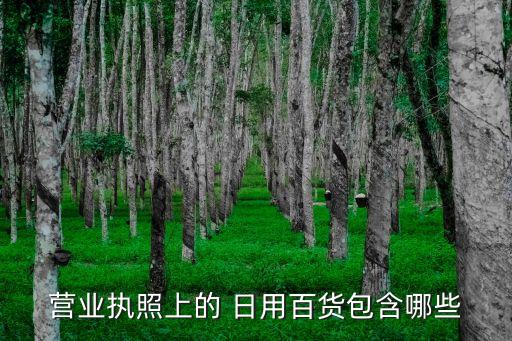 營(yíng)業(yè)執(zhí)照上的 日用百貨包含哪些