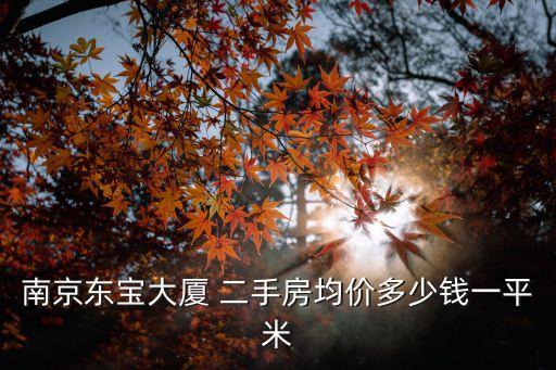 拉薩二手房